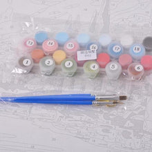 Load image into Gallery viewer, DIY Landscape Paint-By-Numbers Kit