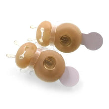 Load image into Gallery viewer, Honeybee Projector